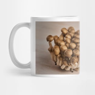 Brown shimeji mushrooms closeup Mug